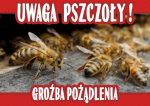 Tablica średnia ostrzegawcza "Uwaga pszczoły - groźba pożądlenia" 