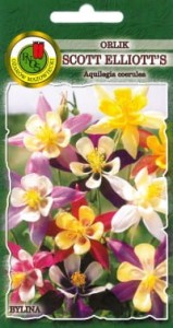 Orlik Scott Elliott's 1g - roślina miododajna 