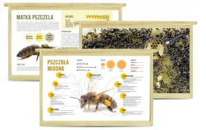 Tablice edukacyjne do ula  styropianowego Dadant