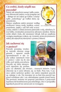 Ulotka "W Pasiece"