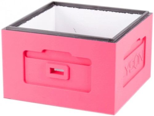 korpus wielkopolski różowy