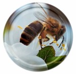 Nakrętka duża Pszczoła biały kwiat