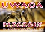 Tablica ostrzegawcza średnia "Uwaga pszczoły - groźba pożądlenia" 