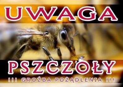 Tablica ostrzegawcza "Uwaga pszczoły