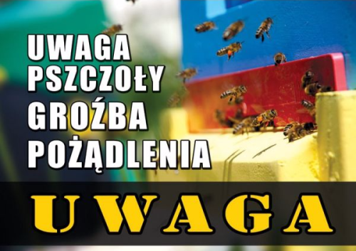 Uwaga pszczoły - groźba pożądlenia