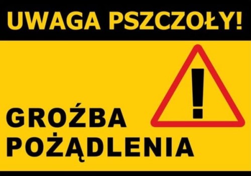 Uwaga pszczoły groźba pożądlenia