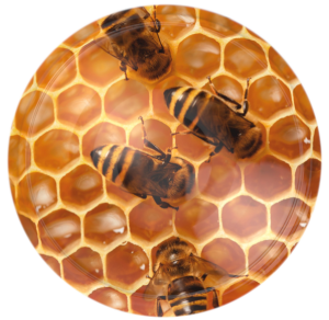 Nakrętka duża Plaster miodu - 10szt