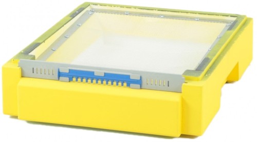 Dennica Dadant / Wielkopolska 12R wysoka