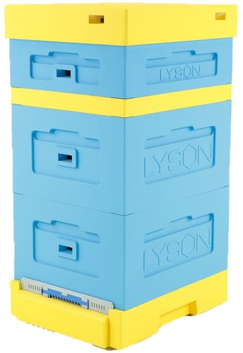 Ul Wielkopolski 12 ramkowy - malowany