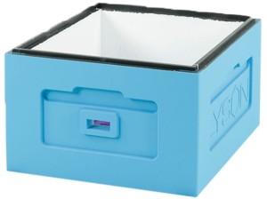 Korpus Wielkopolski 12 ramkowy - malowany