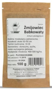 Żmijowiec Babkowaty - roślina miododajna