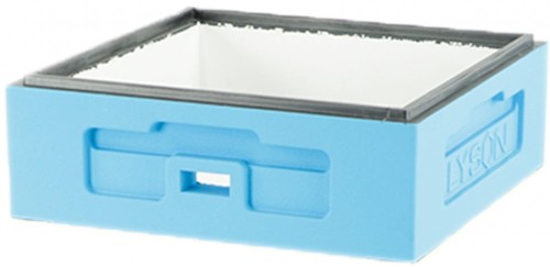 Korpus Wielkopolski 1/2