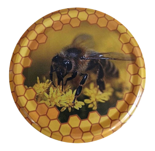 Pszczoła i komórki pszczele