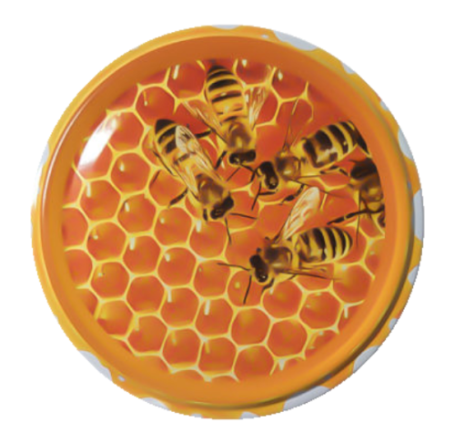 Pszczoły na plastrze