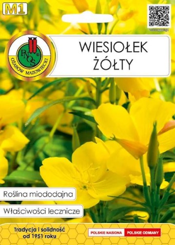 Wiesiołek żółty