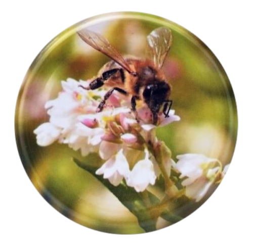 Pszczoła na kwiatku