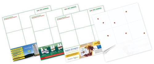 Wkładka dennicowa AMINO-VET