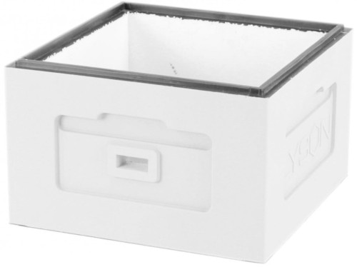 Korpus Wielkopolski - niemalowany