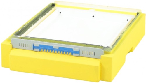 Dennica Dadant / Wielkopolska 12R wysoka