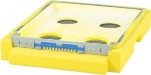 Dennica Dadant, Wielkopolska 12R niska malowana