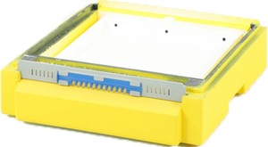 Dennica Wielkopolska 10R wysoka - malowana