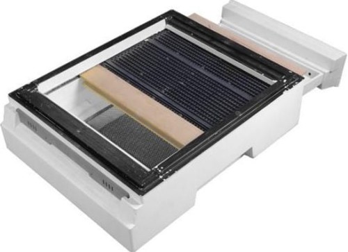 Dennicowy poławiacz pyłku wielkopolski