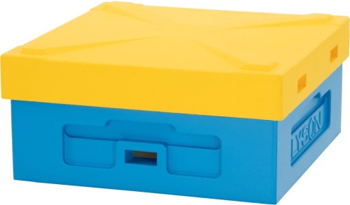 DASZEK NISKI do ula WIELKOPOLSKIEGO 10-ramkowego WZMOCNIONY żółty