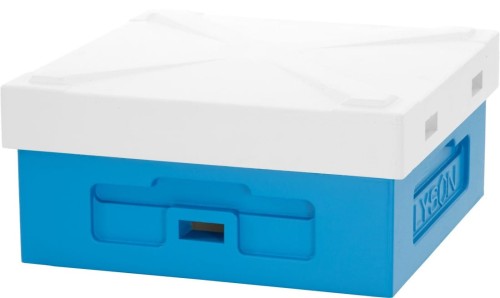 DASZEK NISKI do ula WIELKOPOLSKIEGO 10-ramkowego WZMOCNIONY niemalowany