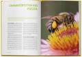 WIELKA ENCYKLOPEDIA PSZCZELARSTWA