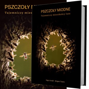 Książka - Pszczoły miodne. Tajemniczy mieszkańcy lasu