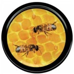 Nakrętka duża 82/6 - Plaster miodu z czarną obwódką 50 szt