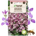 MACIEJKA DWUROGOWA jasno fioletowa Roślina miododajna 3 g