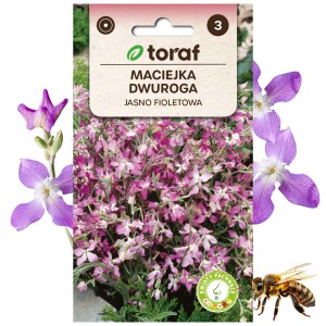 MACIEJKA DWUROGOWA jasno fioletowa Roślina miododajna 3 g