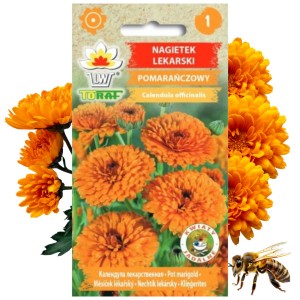 NAGIETEK LEKARSKI POMARAŃCZOWY Roślina miododajna 1 g