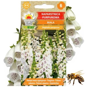 NAPARSTNICA PURPUROWA BIAŁA Roślina miododajna 0,2 g