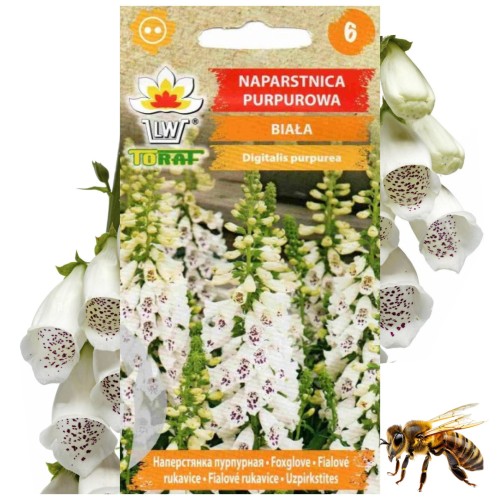 NAPARSTNICA PURPUROWA BIAŁA Roślina miododajna 0,2 g