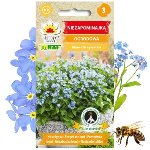 NIEZAPOMINAJKA OGRODOWA Roślina miododajna 0,3 g