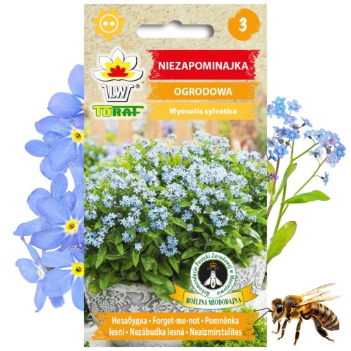 NIEZAPOMINAJKA OGRODOWA Roślina miododajna 0,3 g