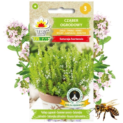 CZĄBER OGRODOWY Nasiona zioła Roślina miododajna 2 g