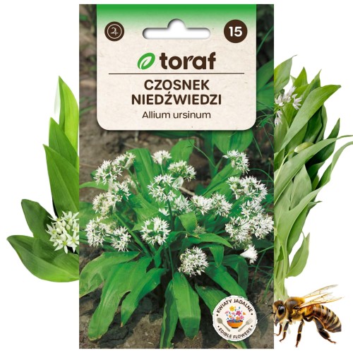 CZOSNEK NIEDŹWIEDZI nasiona kwiaty jadalne Roślina miododajna 0,25 g