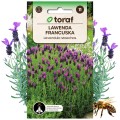 LAWENDA FRANCUSKA Roślina miododajna 0,1 g