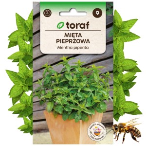 MIĘTA PIEPRZOWA nasiona Zioła Roślina miododajna 0,1 g