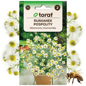 RUMIANEK POSPOLITY Nasiona zioła Roślina miododajna 0,2 g