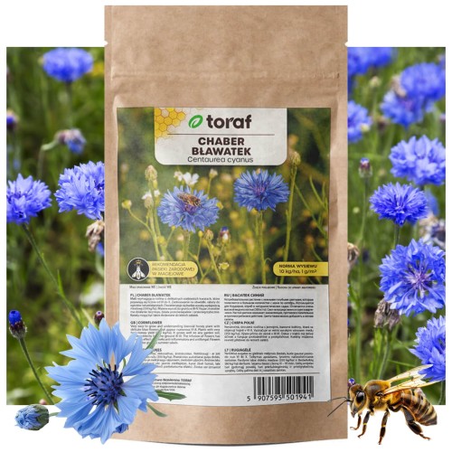 CHABER BŁAWATEK NIEBIESKI Nasiona Roślina miododajna 100 g