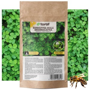 KONICZYNA BIAŁA DROBNOLISTNA Nasiona Roślina miododajna 100 g