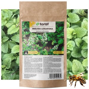 MELISA LEKARSKA Nasiona Roślina miododajna 100 g