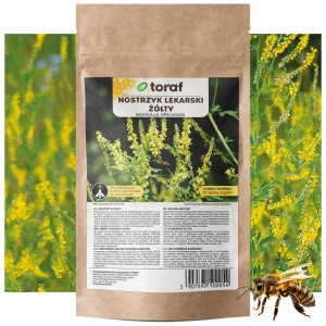 NOSTRZYK LEKARSKI ŻÓŁTY Nasiona Roślina miododajna 100 g