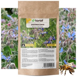 OGÓRECZNIK Nasiona Roślina miododajna 100 g