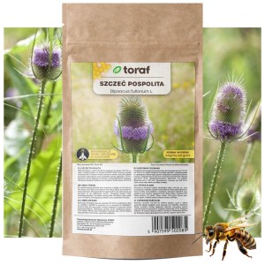 SZCZEĆ POSPOLITA Nasiona Roślina miododajna 100 g