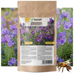 ŻMIJOWIEC BABKOWATY Nasiona Roślina miododajna 100 g